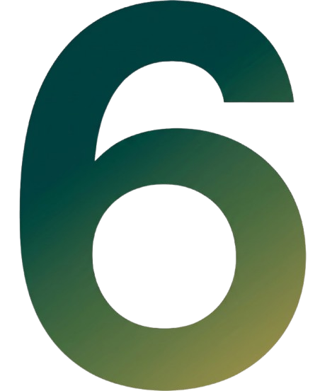 Etapa 06